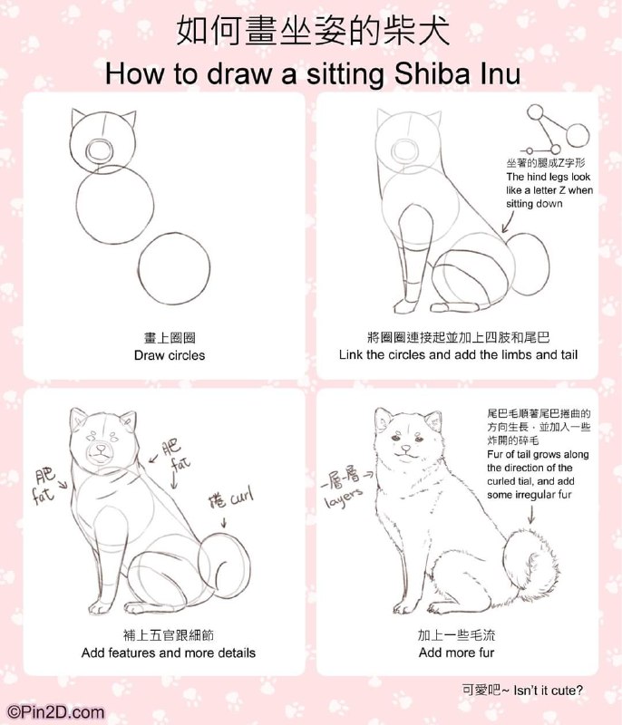 how to draw shiba inuhow to draw shiba inu