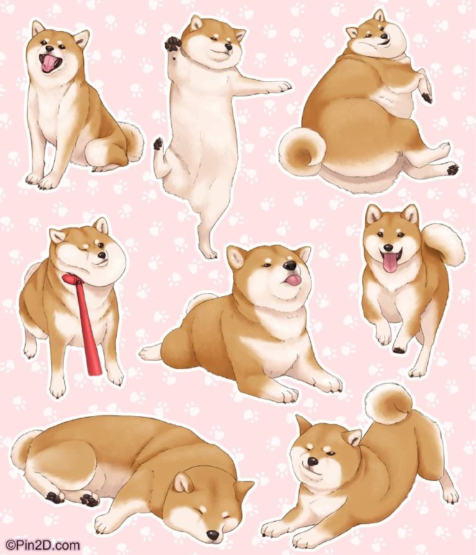 how to draw shiba inuhow to draw shiba inu