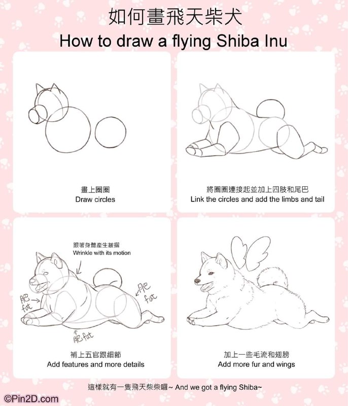 how to draw shiba inuhow to draw shiba inu