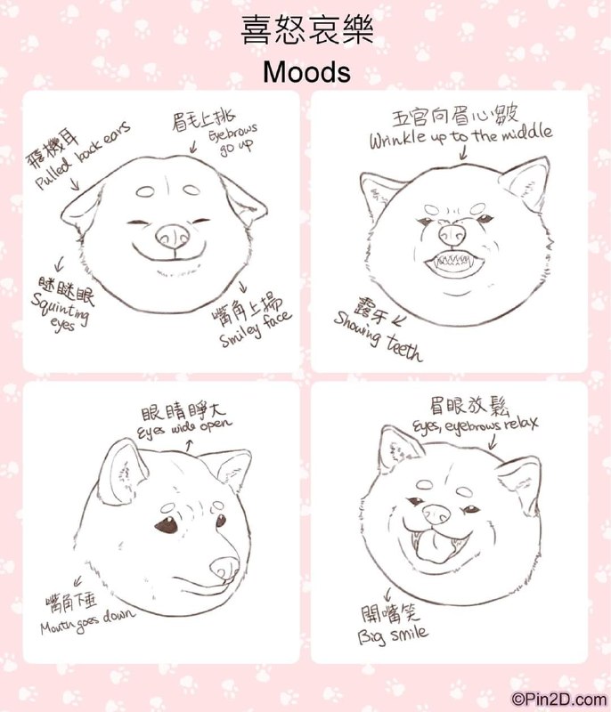 how to draw shiba inuhow to draw shiba inu